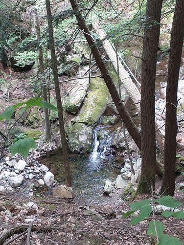 Looking down to Shannon Brook from the trail above