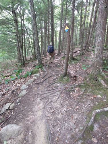 Bald Knob Connector Trail
