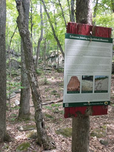 Along the trail you will find a geographically significant area  of Columnar Jointing