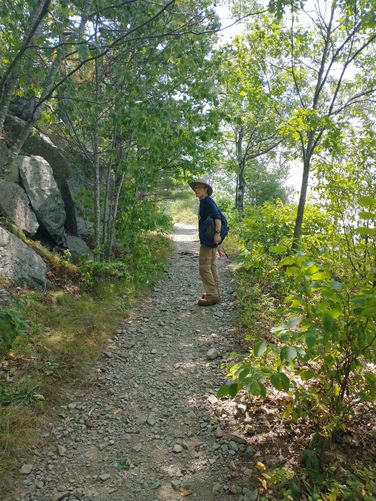 Example of a flat easy trail surface