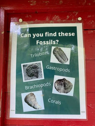 Look for fossils on the Twain Trail