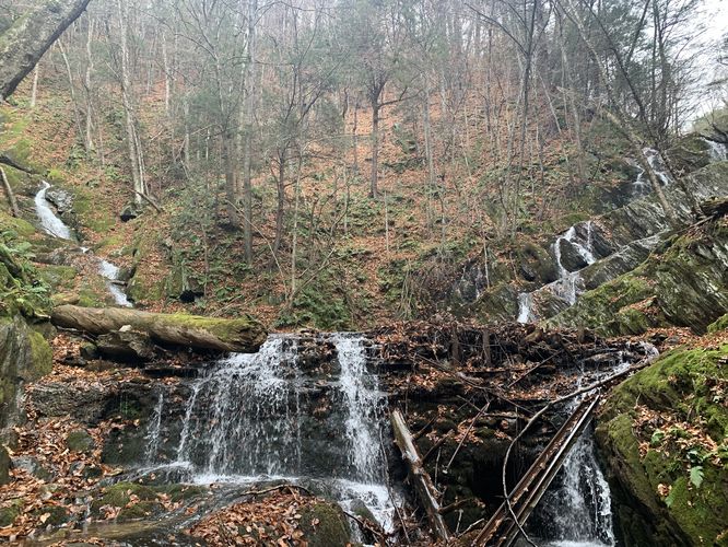 Twin Cascade (converging tiers) Fall