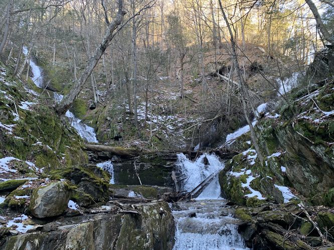 Twin Cascade (converging tiers) Winter