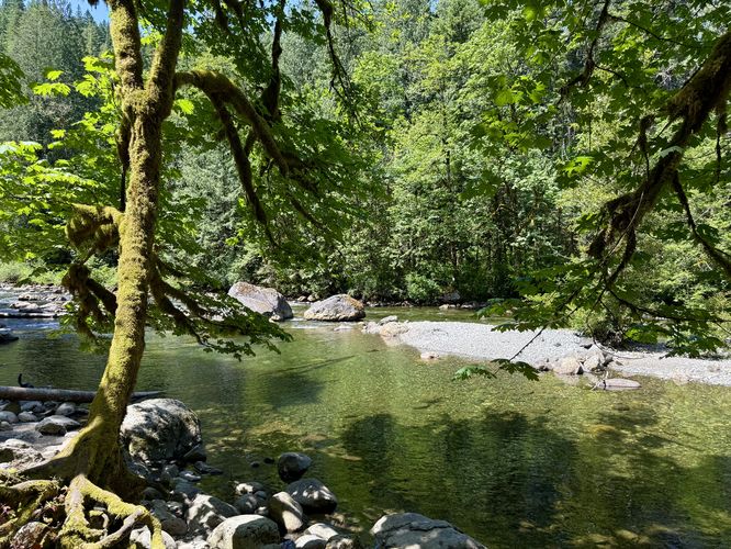 View of the river