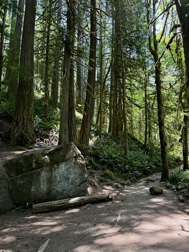 Picture 10 of Twin Falls Hike