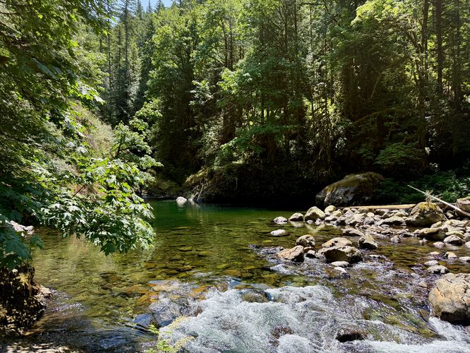 Off-trail swimming hole area