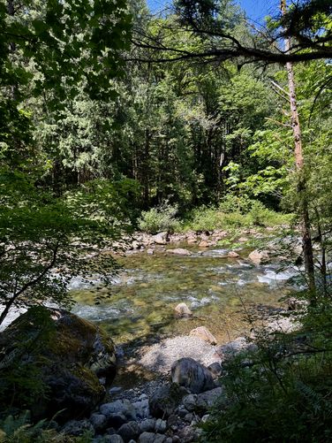 View of the South Fork Snoqualmie River