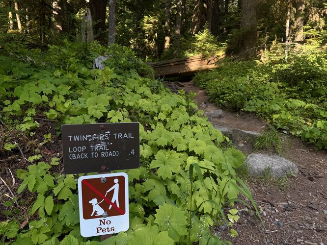 Twin Firs Trail trailhead