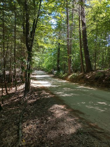Short walk from parking area to Trailhead 