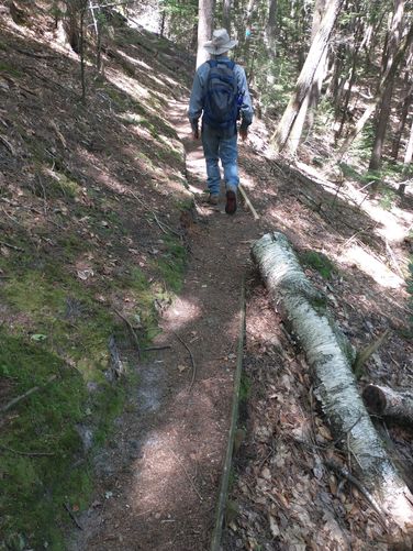 Narrow trail with wood fortifications to slow erosion.