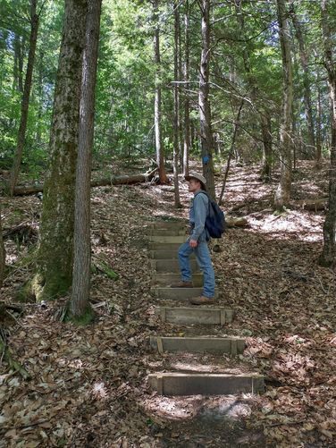 Excellent stairs help hikers up the drumlin