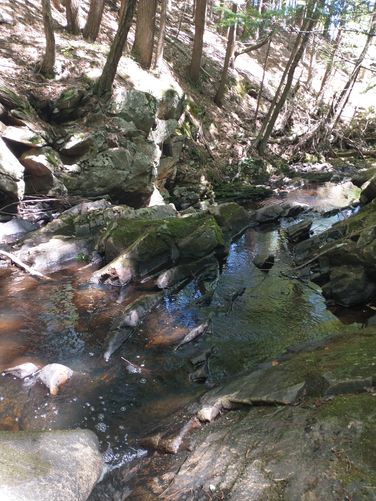 Senter Falls.