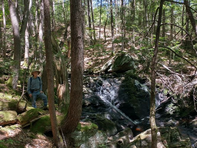 Stay on the trail and be careful of your footing.