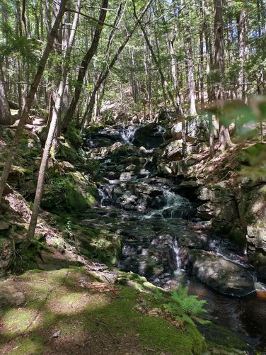 Senter Falls