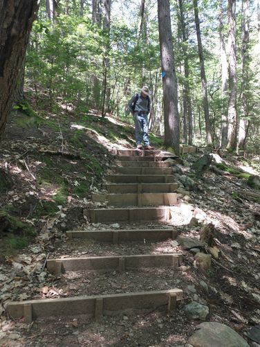 Last set of stairs alongside Cold Brook