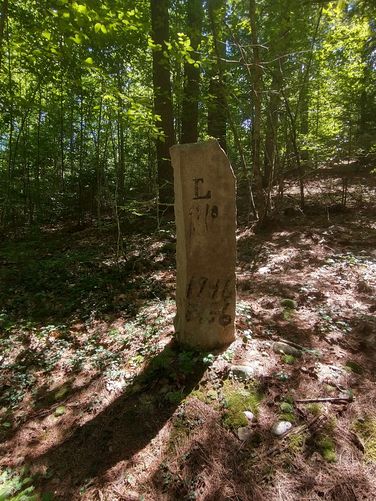 Across from the trailhead entrance is the first point of interest