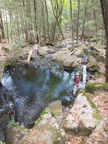 Large pool at Senter Falls 