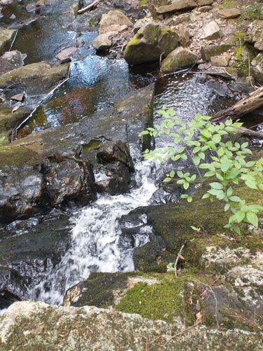 Senter Falls 