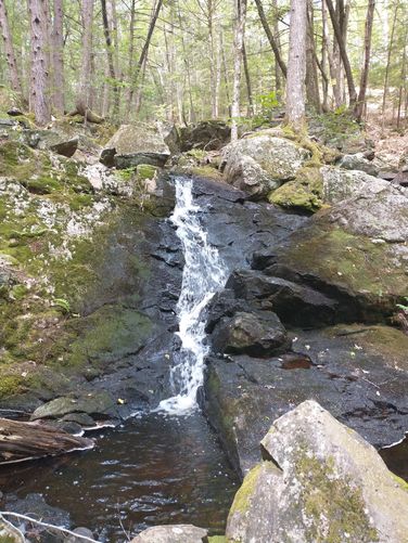 One of the cascades at Senter Falls 