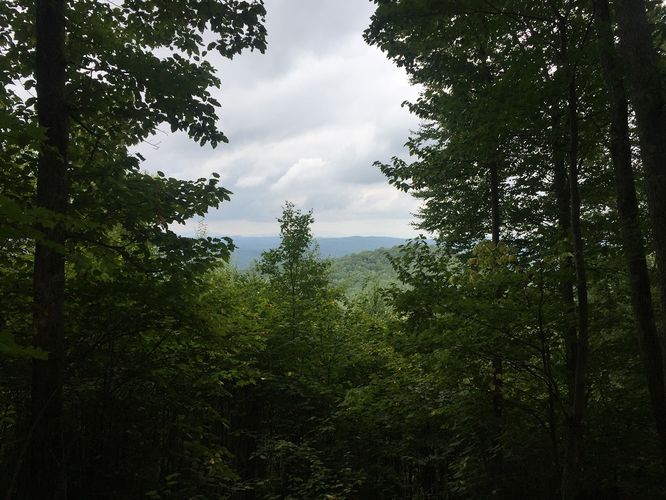 Default image for Two Lick Loop Trail, a 4.7-mile trail in Rimel, WV (US)