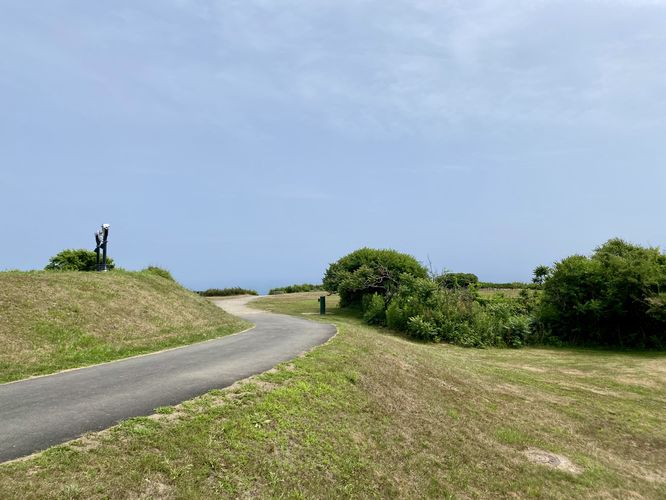Universally-accessible paved pathway