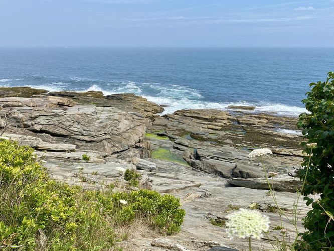 Green tidepools sit in front of the waves of the Atlantic Ocean on Maine's coastline