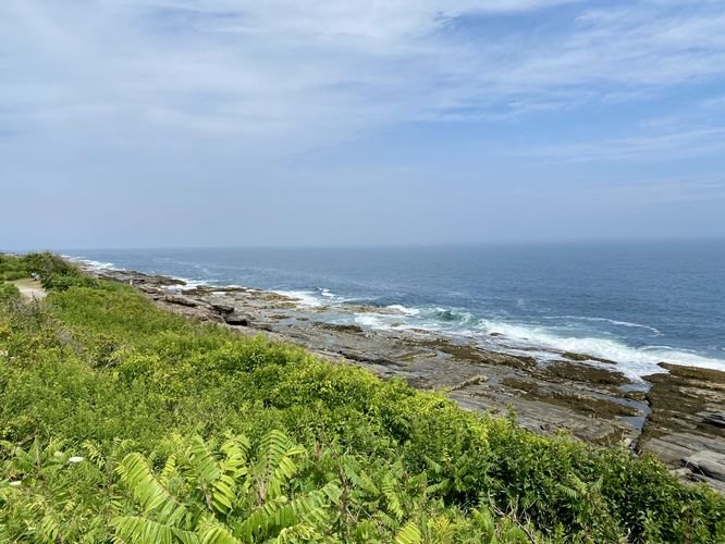 View of the rocky coastline and waves crashing from the tril