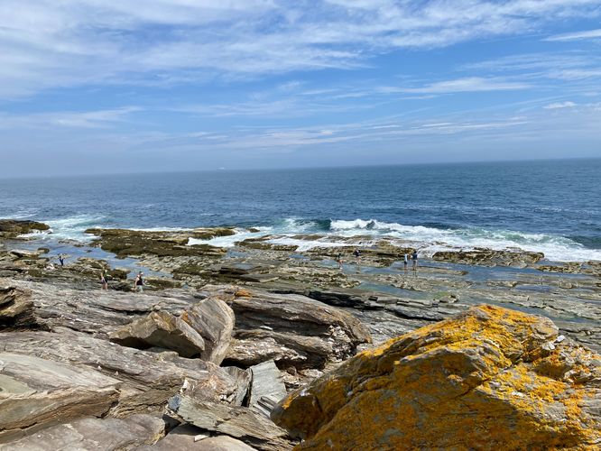 Waves crash on the rocky coastline