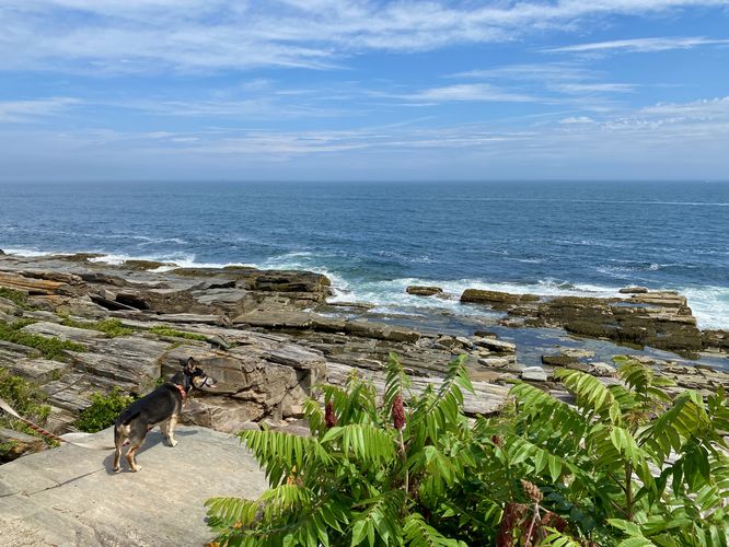 Jax takes in the views at Two Lights State Park