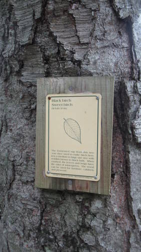 One of the many educational tree plaques 