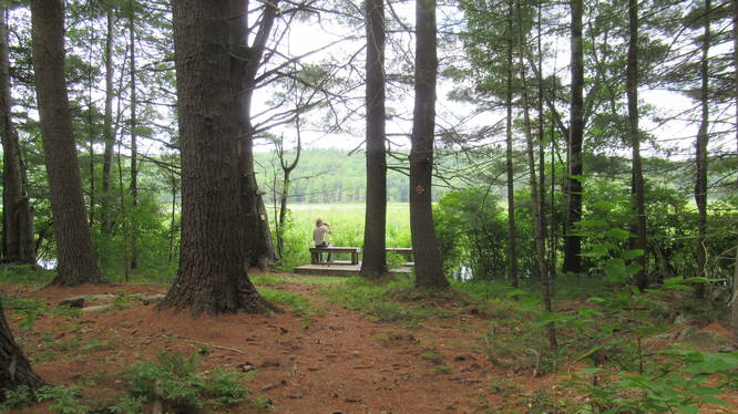 Benches at the edge of the Great Meadow 
