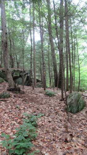 Rocky outcroppings along the trail