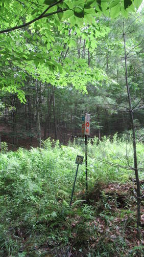 Trail junction and last point of interest