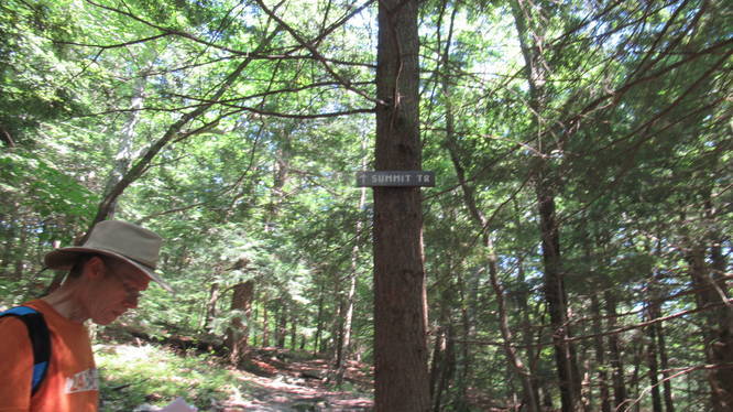Summit Trail marker at junction of Taber Trail