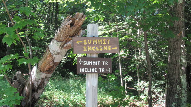 Trail sign junction