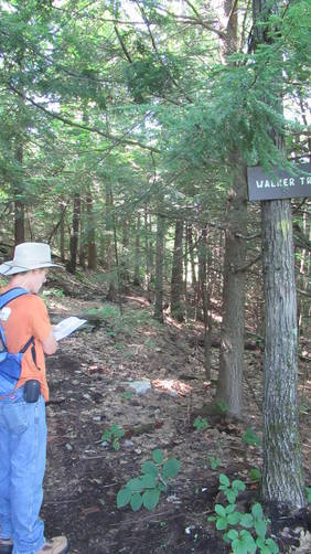 Walker Trail name sign and trail blaze marker
