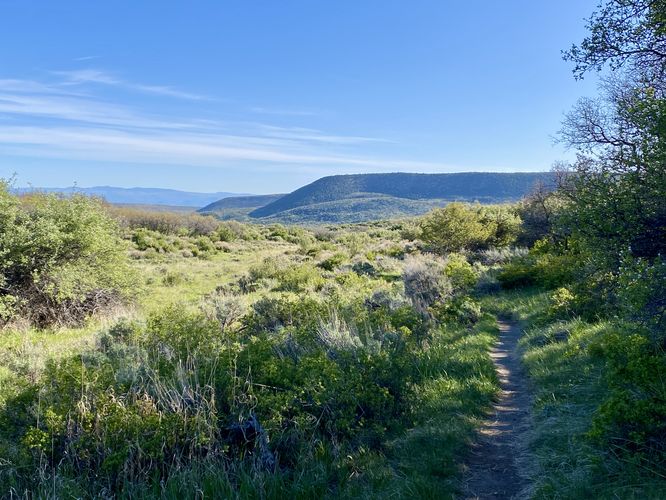 Trail view of the mountains surrounding Black Canyon