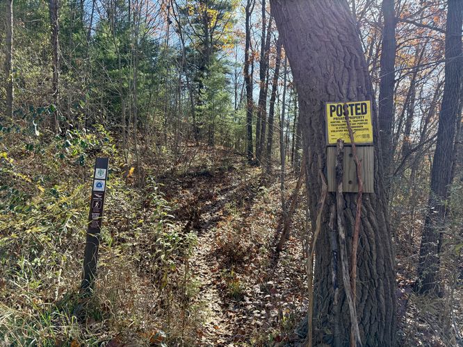 FLT trailhead for Upper Excelsior Falls -- stay on trail