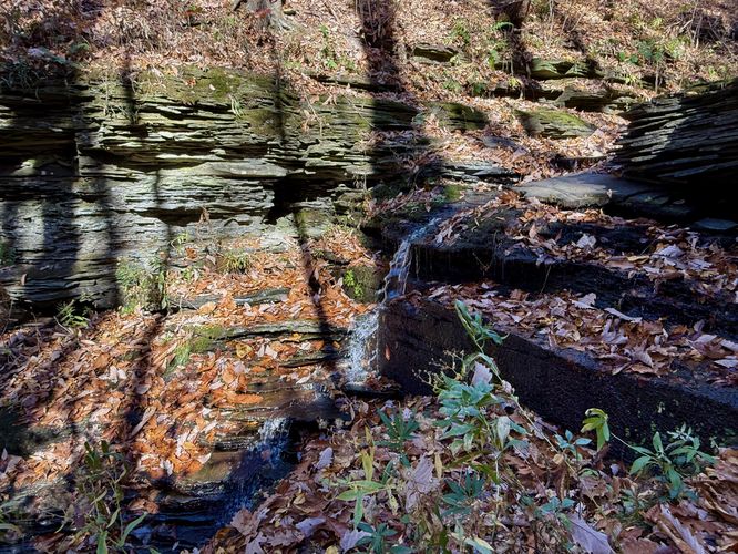 Default image for Upper Excelsior Falls via FLT, a 0.9-mile trail in Burdett, NY (US)