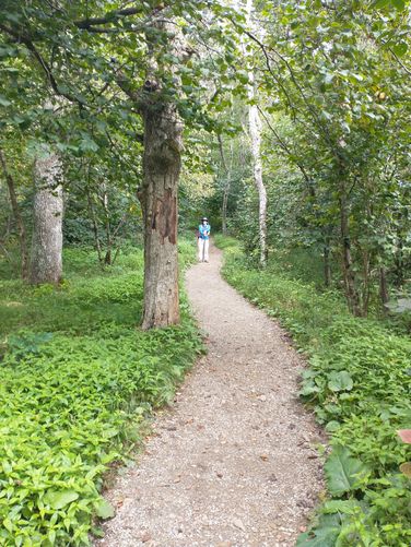 Trail substrate starts off wide and flat with beautiful flora flanking the sides