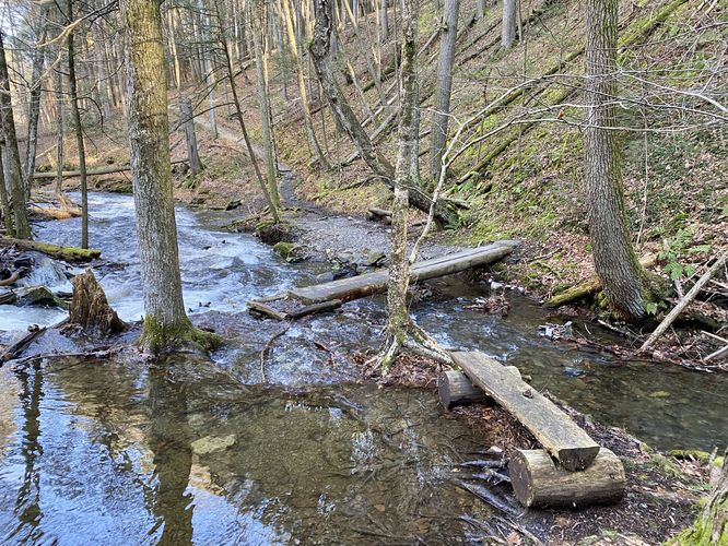 Creek crosing ahead - high waters means wet feet