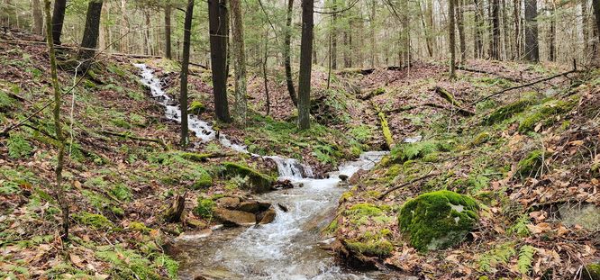 Tributary joins the run