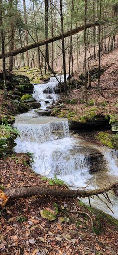 Small cascades in Rattler Run