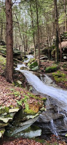Picture 10 of Upper Rattler Run Falls