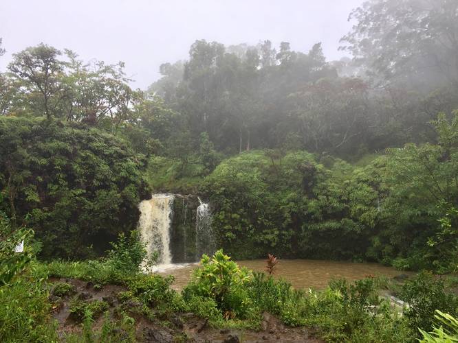 Picture 6 of Upper Waikani Falls