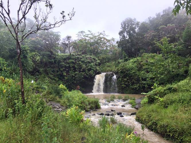 Picture 2 of Upper Waikani Falls