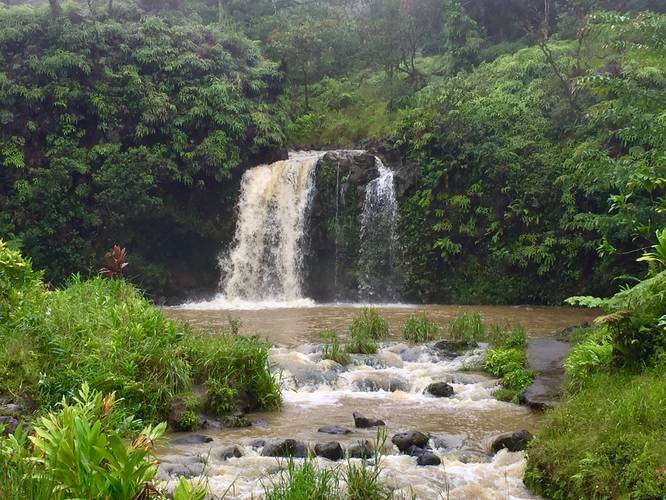 Picture 5 of Upper Waikani Falls