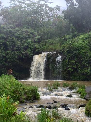 Picture 3 of Upper Waikani Falls