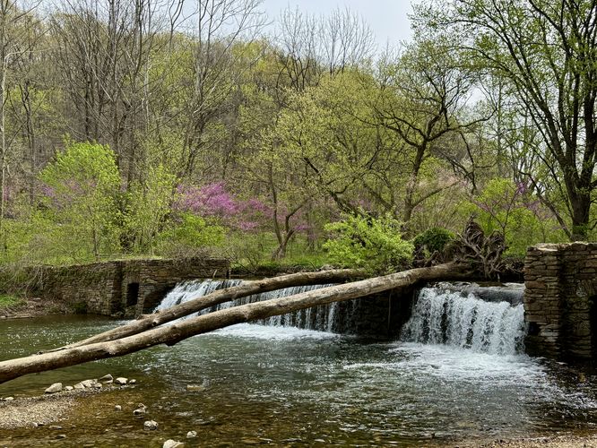 Valley Creek Dam Falls, approx. 5-feet tall 30-feet wide