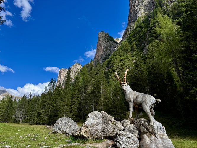 Ibex carved from a tree stump